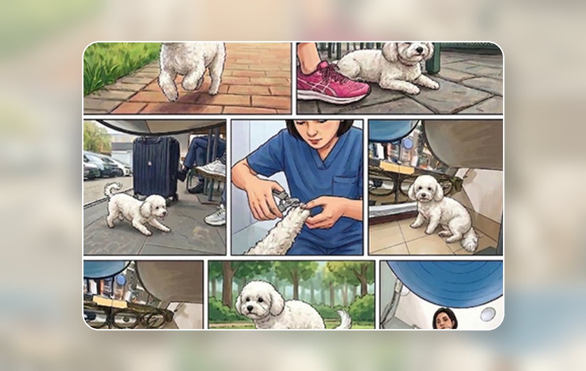 Pet-view memory card